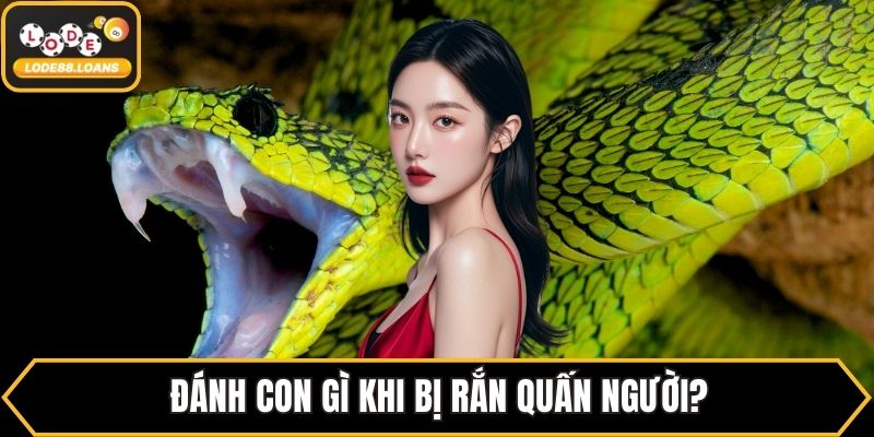Nằm Mơ Thấy Rắn Đánh Số Gì? Đánh Theo Từng Giấc Mơ