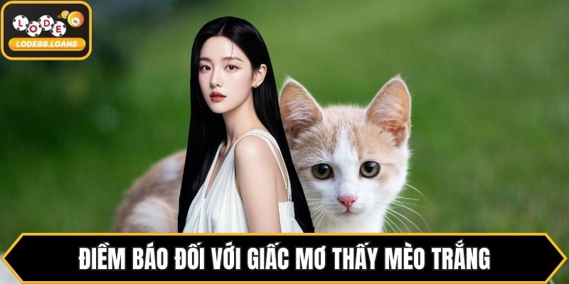 Mơ Thấy Mèo Báo Hiệu Điều Gì? Luận Giải Chi Tiết Nhất