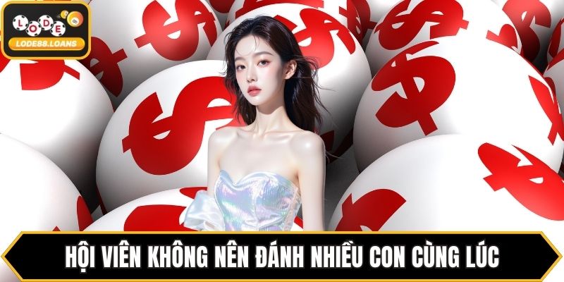 Bao Lô Miền Nam - Hướng Dẫn Chi Tiết Cho Mọi Thành Viên