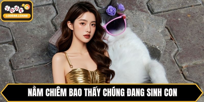 Mơ Thấy Mèo Báo Hiệu Điều Gì? Luận Giải Chi Tiết Nhất