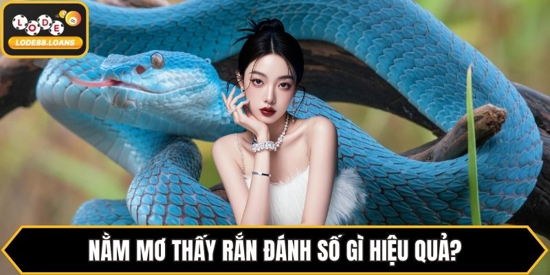 Nằm Mơ Thấy Rắn Đánh Số Gì? Đánh Theo Từng Giấc Mơ
