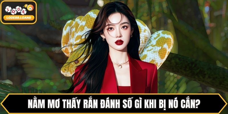 Nằm Mơ Thấy Rắn Đánh Số Gì? Đánh Theo Từng Giấc Mơ