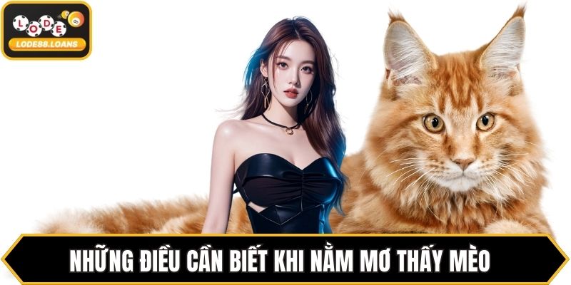 Mơ Thấy Mèo Báo Hiệu Điều Gì? Luận Giải Chi Tiết Nhất