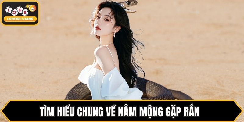 Nằm Mơ Thấy Rắn Đánh Số Gì? Đánh Theo Từng Giấc Mơ