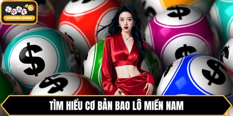 Bao Lô Miền Nam - Hướng Dẫn Chi Tiết Cho Mọi Thành Viên